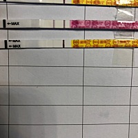 麻烦亲们帮我看看，金秀儿会不会炸胡？ 末次月经7月8号，排卵日25号，8月5号测了早早孕和排卵试纸，早早...