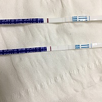 想问下，第二条是下午测的，当时小便被我不小心踢翻了放地上测的，第二条是后来的小便测的，这是什么意思呢