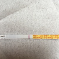 12号排卵，14号同房，16号同房，19日小腹有些疼，胸也胀，给儿子戒奶之后没胀痛过。不知道是不是好孕了...