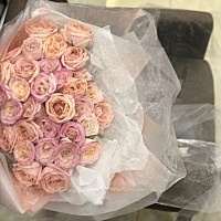 新哥想当爸爸啦