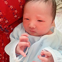 因为产假原因，出了月子就要继续国外的工作，所以不打算给孩子母乳喂养，如何可以快速退奶呢？