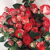 愿圈里的孕妈妈七夕快乐