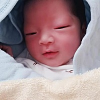 已卸货今日第5天啦，照片第一天拍的