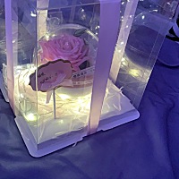 老公送的情人节礼物