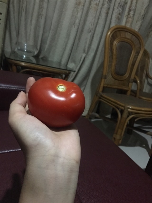 现在水果都吃不起了 出去一次小一百就没有了  还是吃自家种的蔬菜果吧