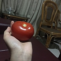 现在水果都吃不起了 出去一次小一百就没有了  还是吃自家种的蔬菜果吧