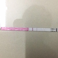 今天月经第二天，金.秀.儿的排卵试纸还是弱阳的，我想这个月去监测排卵，请问应该什么时候去呀？