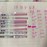 姨妈完第一天开始测排卵试纸，不太懂想问一下今晚同房有几率怀孕吗？