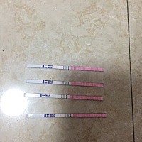 这是今天从早上到晚上测的，越来越不红了，是排过卵了吗，还是没排，有人知道吗