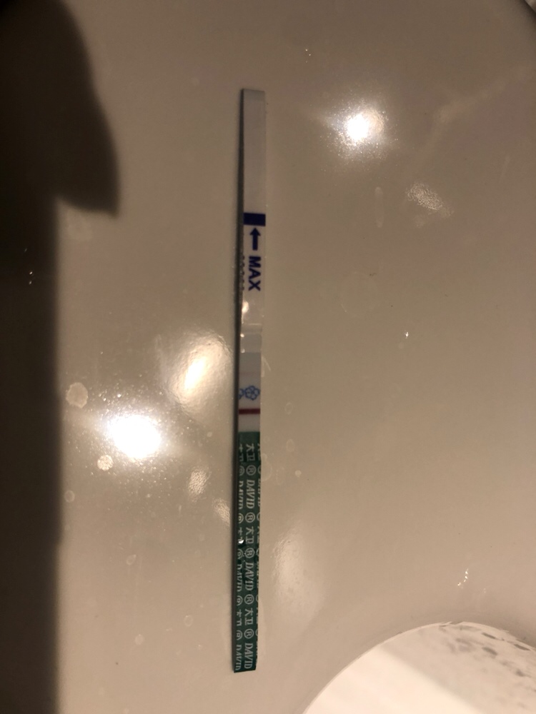 亲爱的宝妈们，第二条杠不是很明显，也不知道是不是怀孕了呢？