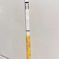 (转载)排卵应该是10号半夜。11号晚上同房。今天早上测的金秀儿感觉是自带水印，😏刚中午回来拿起来看...