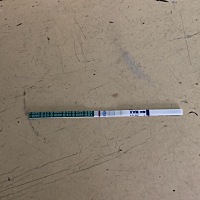 这个是怀孕了还是没有怀孕