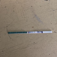 这个是怀孕了吗