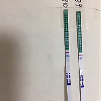 2019.8.10  用晨尿测的，隔了几秒才显出来，以为是咋胡呢……
