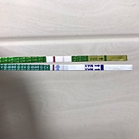 上个月10号来的姨妈，本月应该7号来的，每次基本都很准，这次没来就想测一测，用了两个牌子的早孕试纸，...