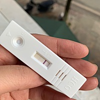 请问一下大家。我这个早上测的是一杠 我出门两小时回来感觉又有一杠比较暗的了。昨天的也是。开始是一杠...