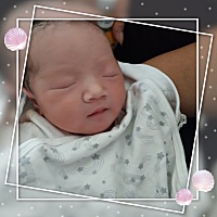 调皮捣蛋的小猪猪终于放出来了，剖腹产真的是受罪，愿宝健康快乐成长