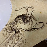 我想知道还有比我更严重的吗？洗一次头就要掉这么多，快秃了！我家宝宝很奇怪，已经10个月了，每天...