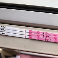 7月31排，这几天每天都测，都是白板。今天清晨梦见自己双杠了，立马就醒来了，去测了一下。最下面一条是...