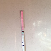 第一张是早上测的第二张是下午测的，求助哪位大神能帮忙说一下是不是要排卵了。