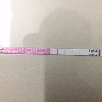 备孕两个月了，今天金.秀.儿排卵试纸弱阳，准备去旅游了，但是想着买点备孕的奶粉回来喝。有必要吗？