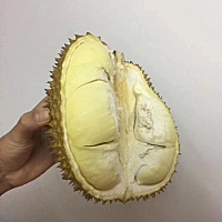 有没有坐月子吃榴莲的？