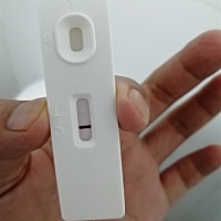 还有4天来姨妈，今天测试了一下，不晓得怀起没有，大家帮我看看