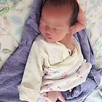 2019.8.5剖腹产小🐷佩奇一枚！！ 报喜咯‼️
