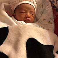 接健康男宝  想要男宝的来咯，超级准！ 接