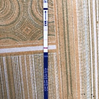 这是怀孕了吗 有多少天？宝妈们