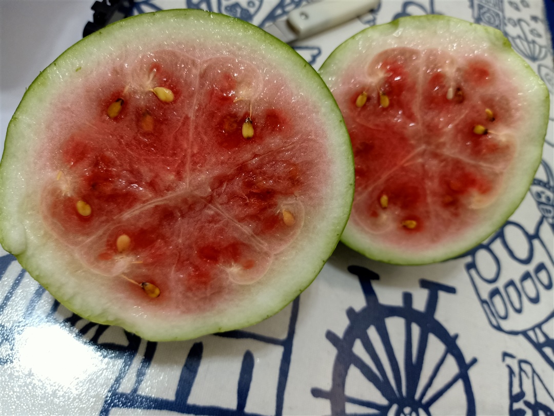 切开西瓜味清香肆意