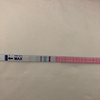 排卵期是八月三号，还有两三天就来大姨妈了，排卵试纸又快强阳了