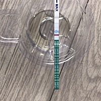 是不是怀孕了啊？下午刚试的，有恶心，小肚子酸难受，体温37度，