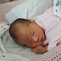 来来来，看看我家佩奇的睡姿，若有所思。