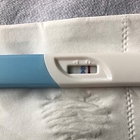 备孕两个月，今天去查，终于怀孕了，只要科学备孕，成功的几率还是很大的😄