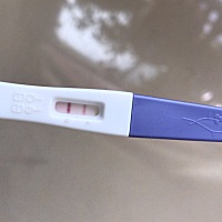 中午测的，是有了吗？