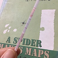 各位宝妈们，有没有排卵期2号，6号同房然后排卵试纸11号测阴性一条杠，然后今天弱阳的？这是要怀孕的感...