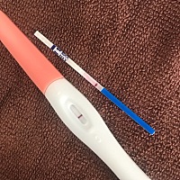 自从去年胎停了一个，现在走的备孕路变得很艰辛。月事延迟6.7天了，还是白板。我快放弃了。