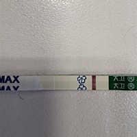 这样是怀上了吗？连着两天有褐色分泌物，用大卫测只有很浅很浅很仔细才能看到的灰印子，用可丽蓝测是轻...