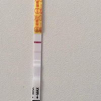 (转载)备孕app显示9号排卵，昨天晚上测看没印，昨晚比较早睡，也没怎么做梦，早上起来看变成两条了，今...