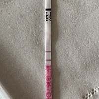 姐妹们测试排卵一般用什么时候的尿液？我这是晨尿测的金.秀.儿排卵试纸，准确吗？