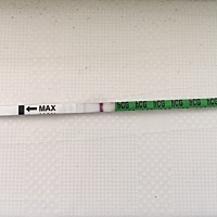 大家帮我看看，我这个是意念灰吗？上次月经7月28号，8月9号测快要排卵了，就打了hcg，8月11去测已经排卵...