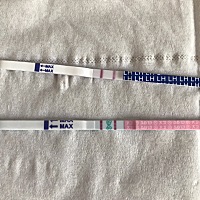 末次月经7月28日，昨天测到强强阳，希望这个月能中，圆了我的怀孕梦！老公是独生子，一家人都很期望能有...