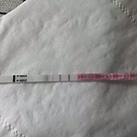 显示这月20号排卵，今天测的金.秀.儿排卵试纸也还没有强阳，为何现在阴道隐隐坠痛，白带今天拉丝？