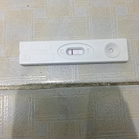 23号月经，这是怀上了吗？前两天做梦梦见自己怀孕了，所以就想测试一下