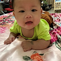 按照农历算，我家小猪仔已经4个月了，会大笑，大叫，喜欢立着抱，抱着他喜欢跳跳跳，昨晚上12点喂了之后...