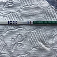 7月25来的月经.看到我眼睛都瞎了.宝宝们帮我看看中了没？今天用秀儿测是白板