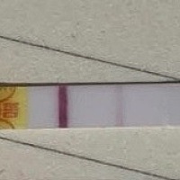 (转载)都没有抱什么希望，但是8月9号早孕试纸测出意念灰和原来白板自己想象出来的灰色不一样，赶紧找出...