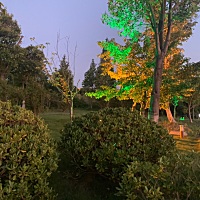 我从小是爷爷奶奶带大，他们都没有来得及想我的福，本来没有什么的，今天被老公的奶奶感动了，我晚...