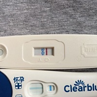 大家快来帮我看下可丽蓝自带水印还是怀了？ 有经验的看下，排卵12日。